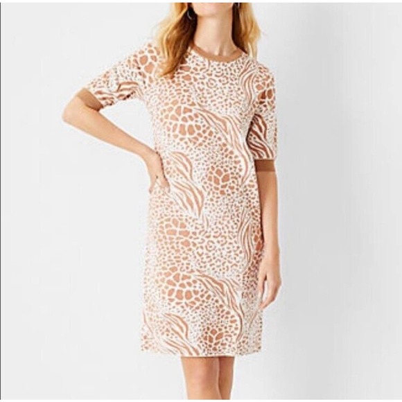 Ann Taylor‎ Mix Animal Print Shift Sweater Dress Size XS NWT - Picture 1 of 9